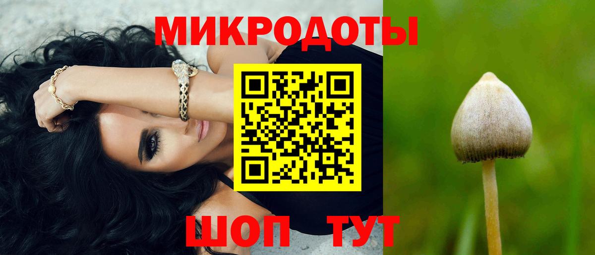 Галлюциногенные грибы GOLDEN TEACHER  Вход с VPN  Тайшет  Галлюциногенные грибы мицелий 